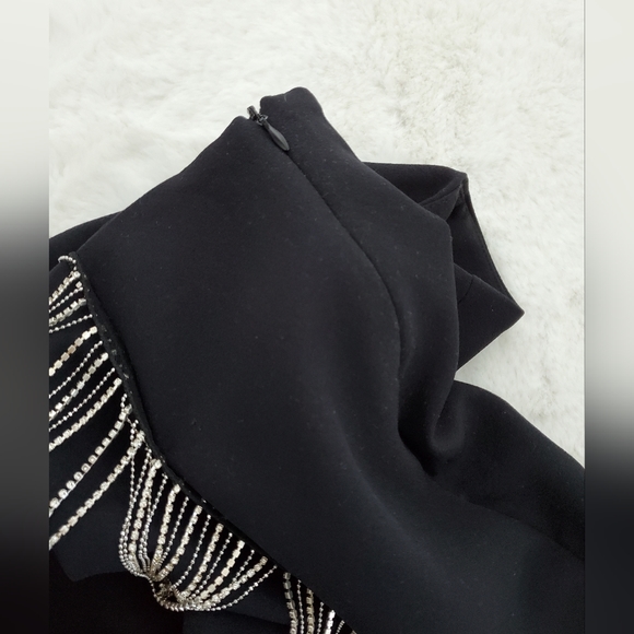 Zara Jewel fringed back skirt (M)( BNWT) - Picture 7 of 7